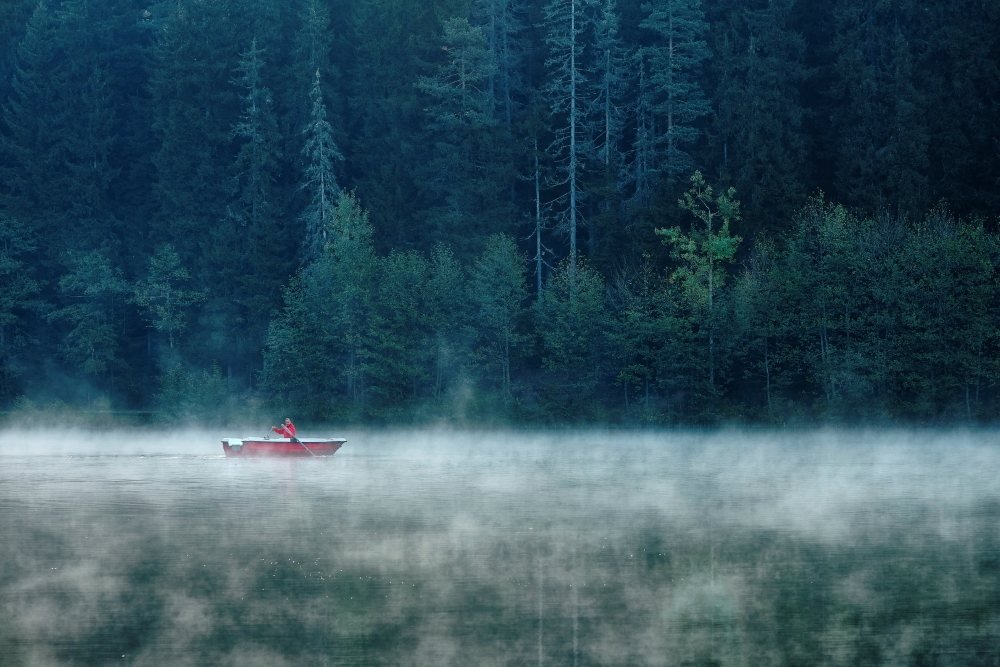 Among the Mists