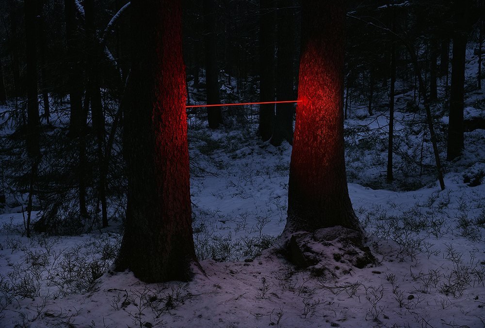 Luminous Signals (1)